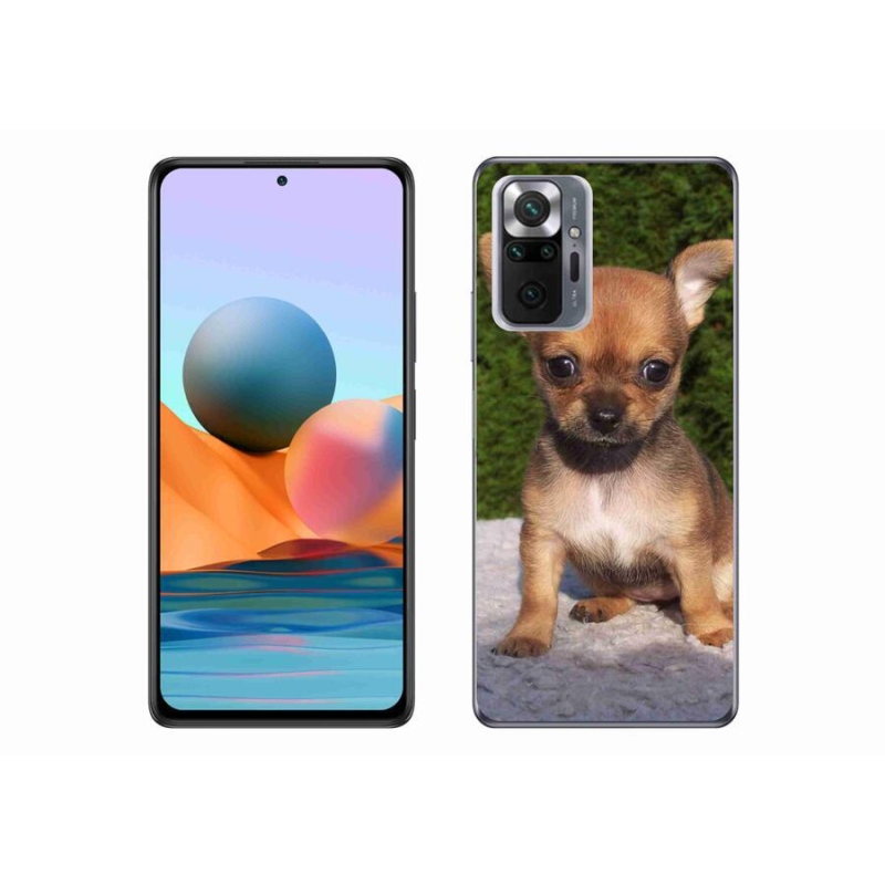 Gélový obal mmCase na mobil Xiaomi Redmi Note 10 Pro - čivava 3