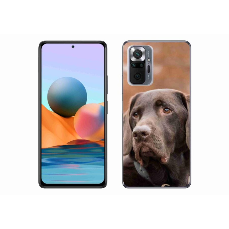 Gélový obal mmCase na mobil Xiaomi Redmi Note 10 Pro - hnedý labrador