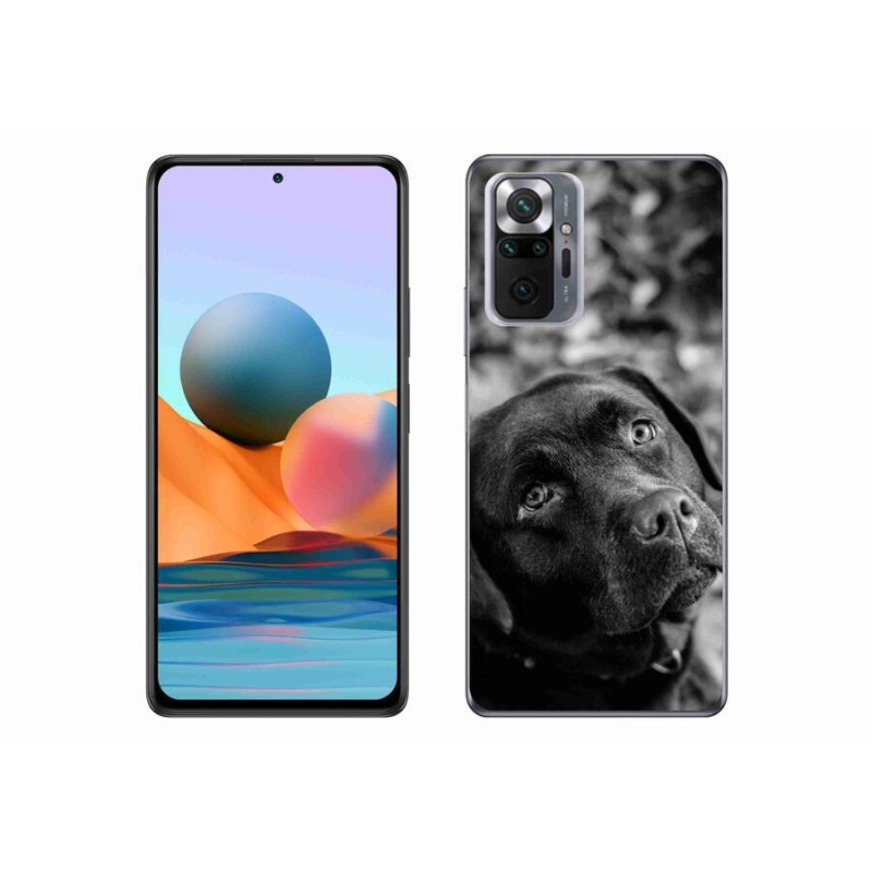 Gélový obal mmCase na mobil Xiaomi Redmi Note 10 Pro - labrador