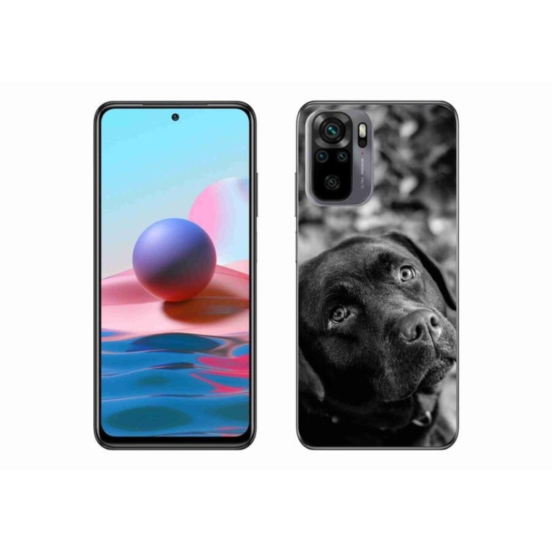 Gélový obal mmCase na mobil Xiaomi Redmi Note 10S - labrador