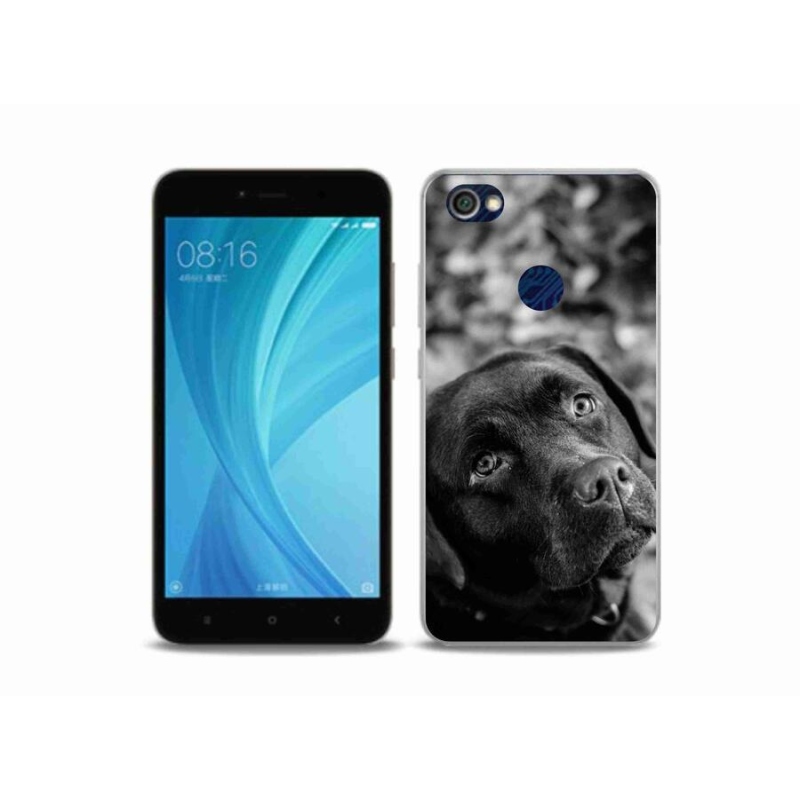 Gélový obal mmCase na mobil Xiaomi Redmi Note 5A Prime - labrador