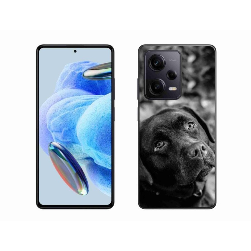 Gélový obal mmCase na Xiaomi Redmi Note 12 Pro+ 5G - labrador