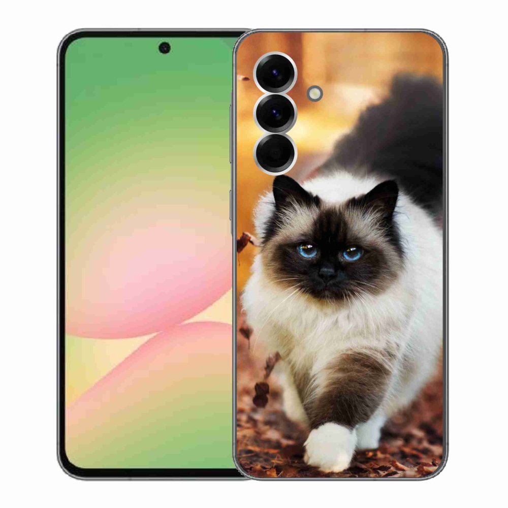 Gélový kryt mmCase na Samsung Galaxy A56 5G - mačka