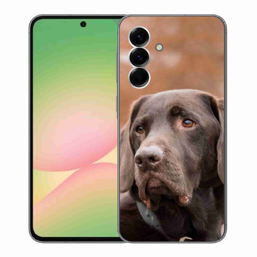 Gélový kryt mmCase na Samsung Galaxy A56 5G - hnedý labrador