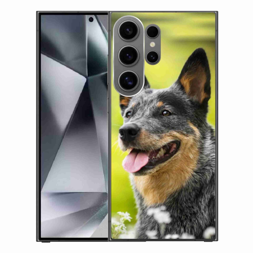 Gélový kryt mmCase na Samsung Galaxy S24 Ultra - austrálsky pastiersky pes
