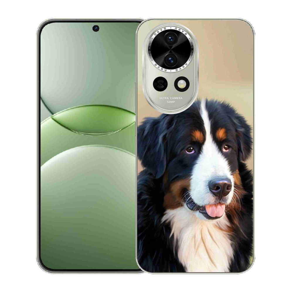 Gélový kryt mmCase na Huawei Nova 13 5G - bernský salašnícky pes