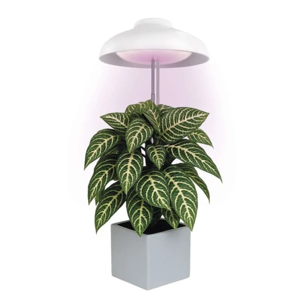 LED GROW pestovateľská lampa 5 W, časovač - biela