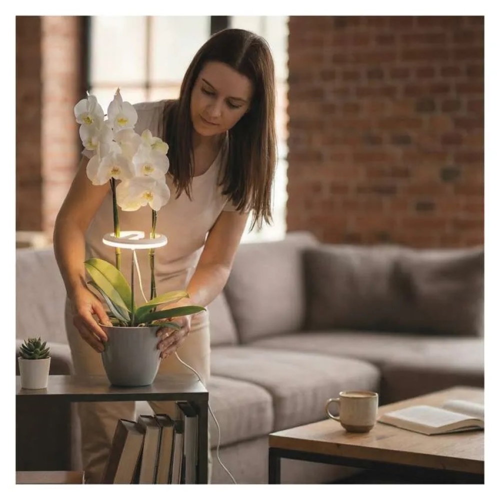 LED GROW pestovateľská lampa 8 W, časovač, stmievateľná - biela