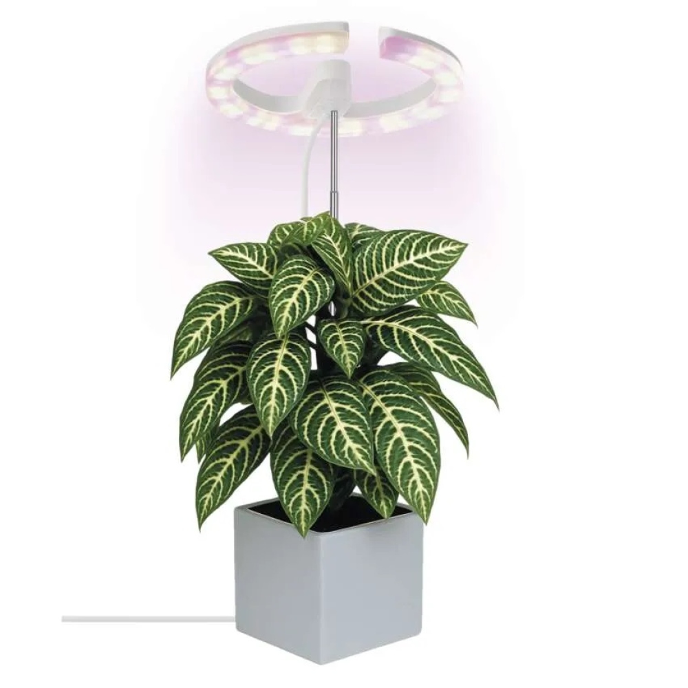 LED GROW pestovateľská lampa 8 W, časovač, stmievateľná - biela