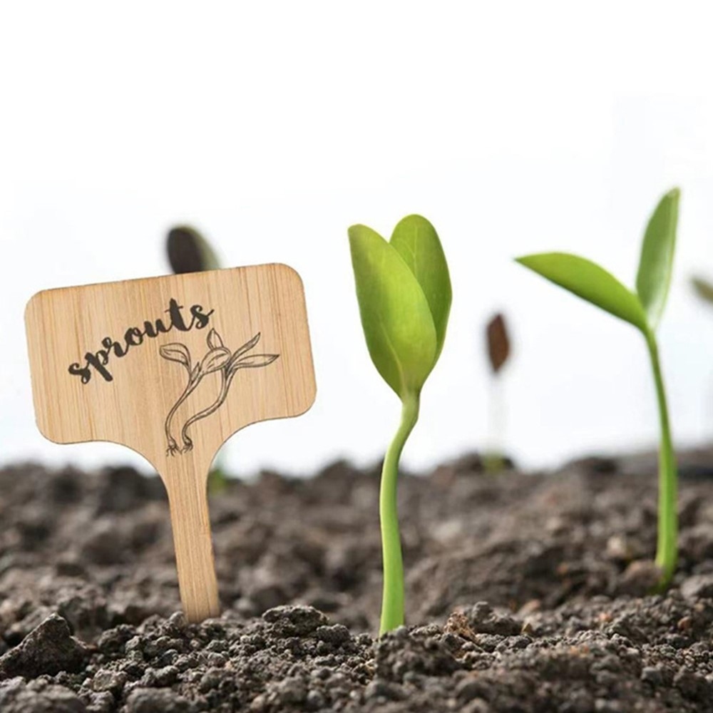 Súprava drevených záhradných menoviek k rastlinám 10 ks