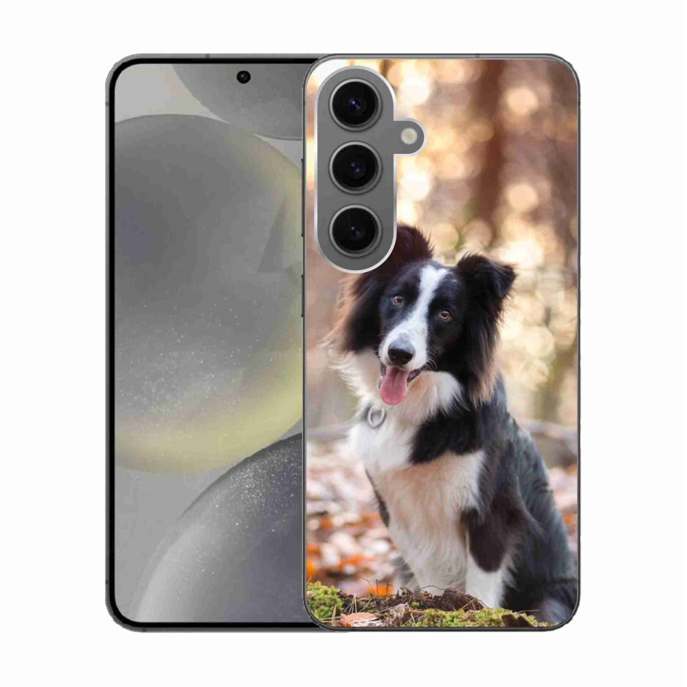 Gélový obal mmCase na Samsung Galaxy S24 - border kólia 1
