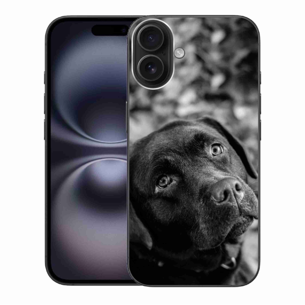 Gélový obal mmCase na iPhone 16 Plus - labrador