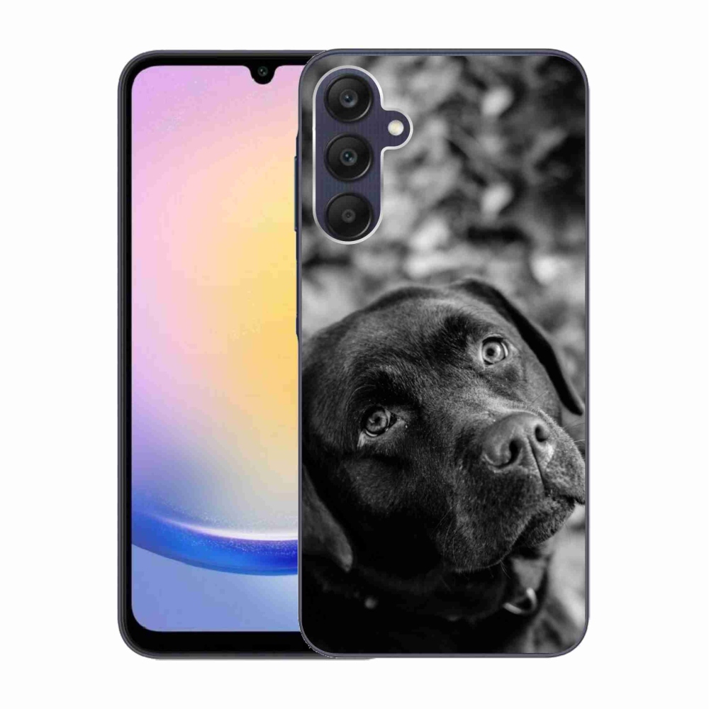 Gélový obal mmCase na Samsung Galaxy A25 5G - labrador