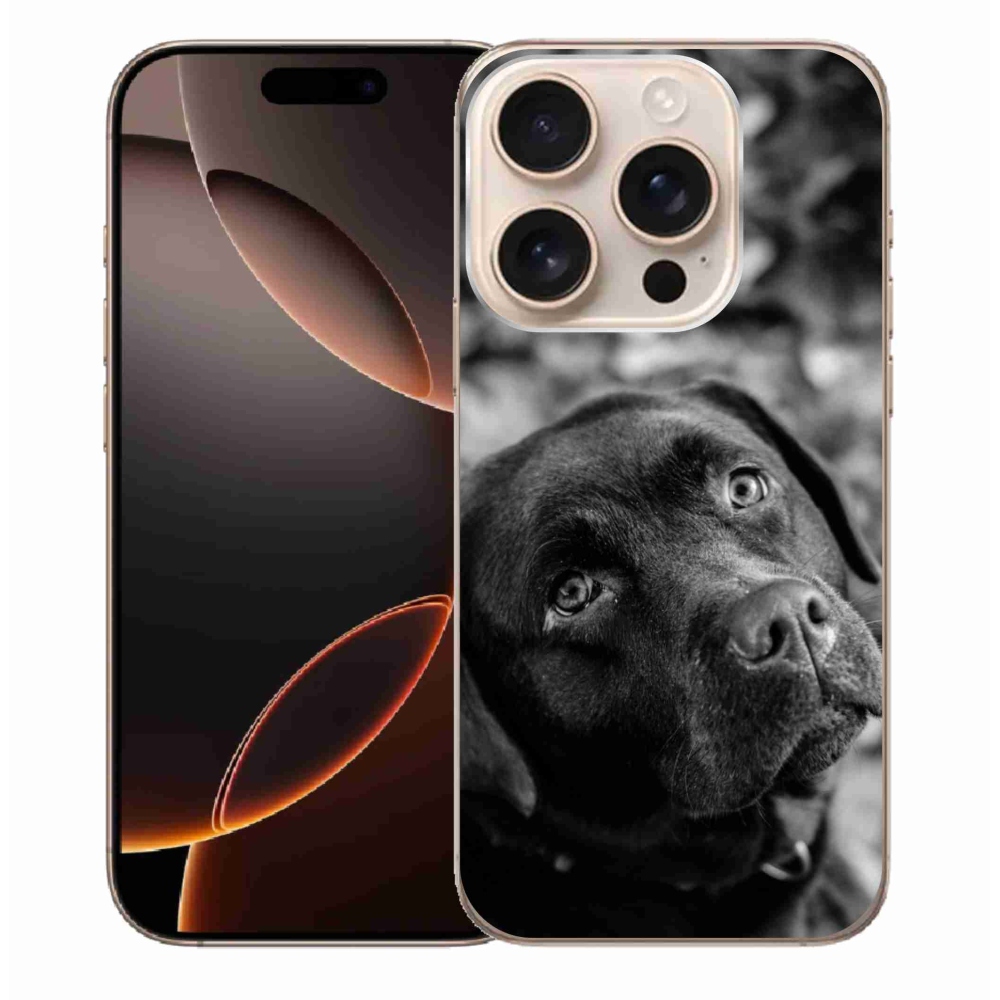 Gélový obal mmCase na iPhone 16 Pro Max - labrador