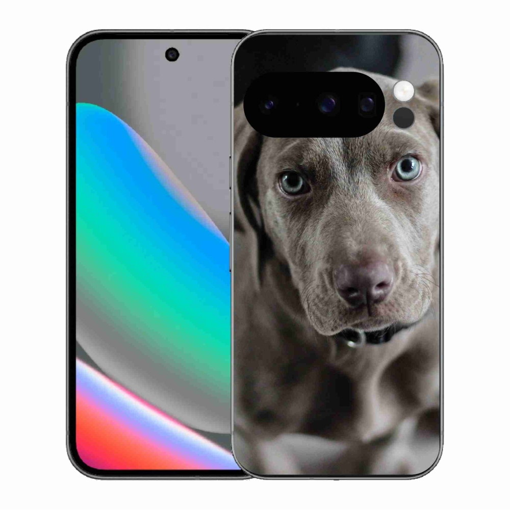 Gélový kryt mmCase na Google Pixel 10 Pro - weimarský stavač