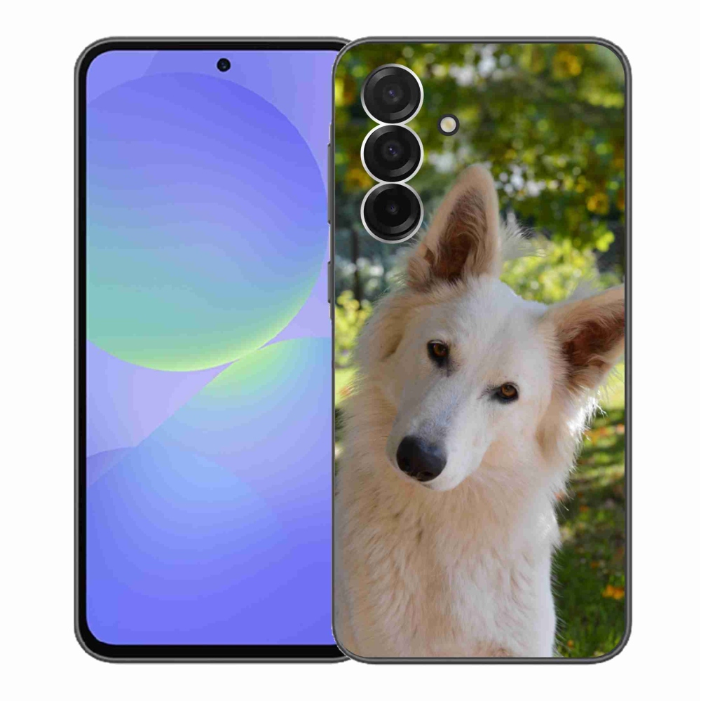 Gélový kryt mmCase na Samsung Galaxy A36 5G - biely švajčiarsky ovčiak 1