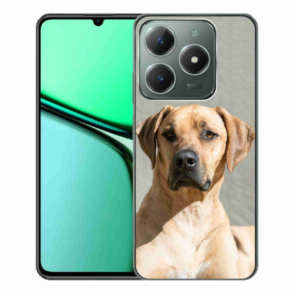 Gélový kryt mmCase na Realme C61 - ridgeback