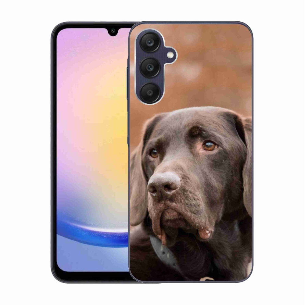 Gélový obal mmCase na Samsung Galaxy A25 5G - hnedý labrador