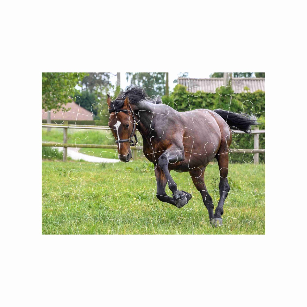 Puzzle 18x13cm (24 dielikov) s obrázkom - bežiaci kôň