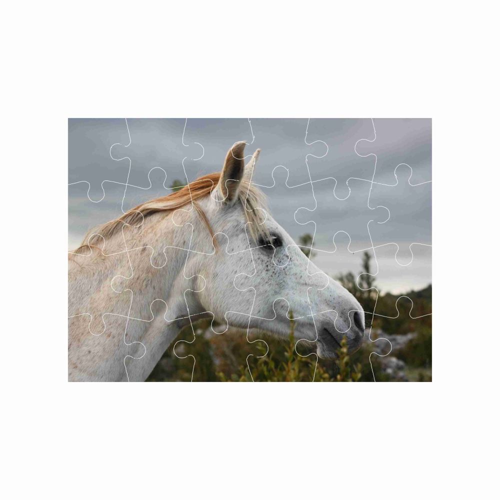 Puzzle 18x13cm (24 dielikov) s obrázkom - biely kôň