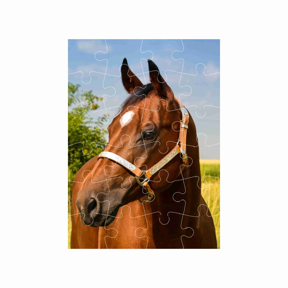 Puzzle 18x13cm (24 dielikov) s obrázkom - hnedý kôň