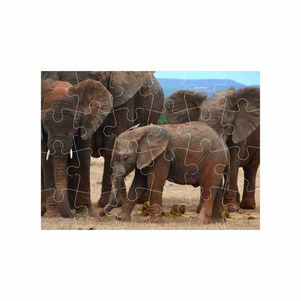 Puzzle 18x13cm (24 dielikov) s obrázkom - slonia rodina