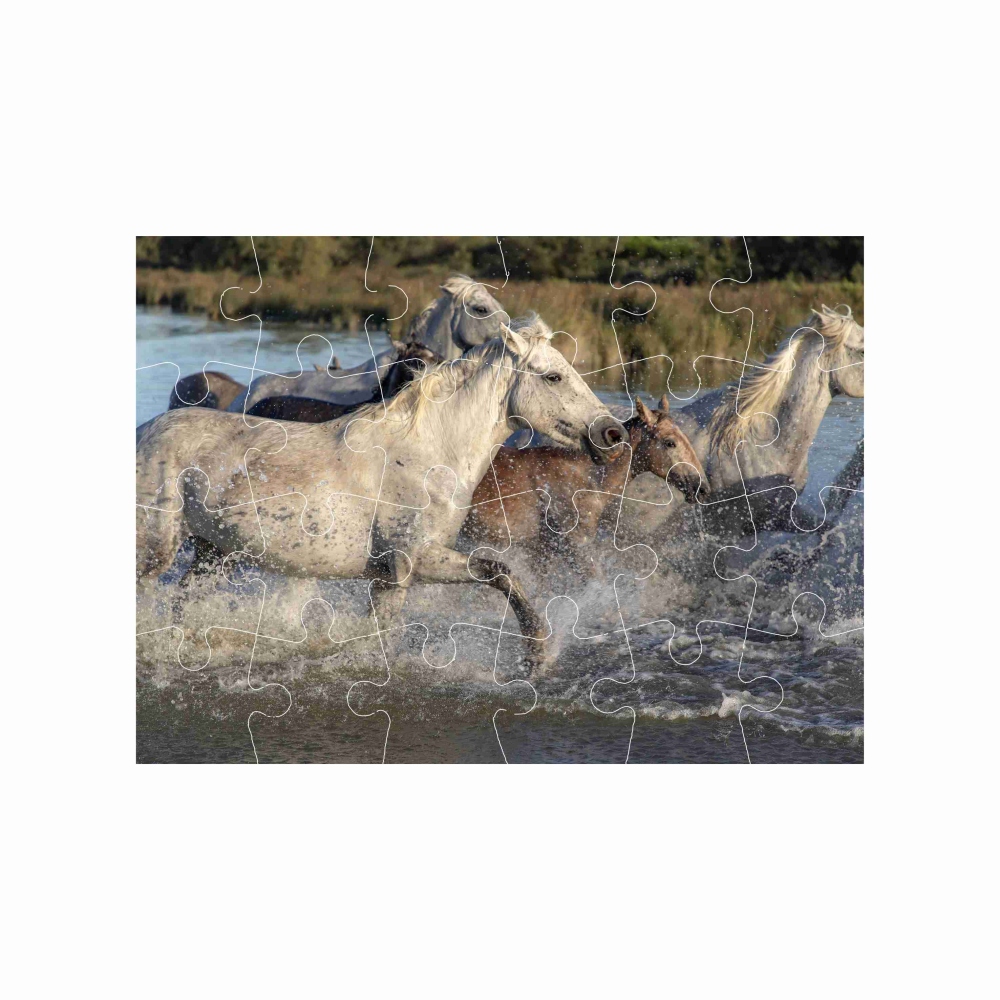 Puzzle 18x13cm (24 dielikov) s obrázkom - stádo koní