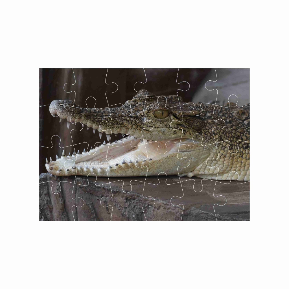 Puzzle 18x13cm (24 dielikov) s obrázkom - usmievavý krokodíl