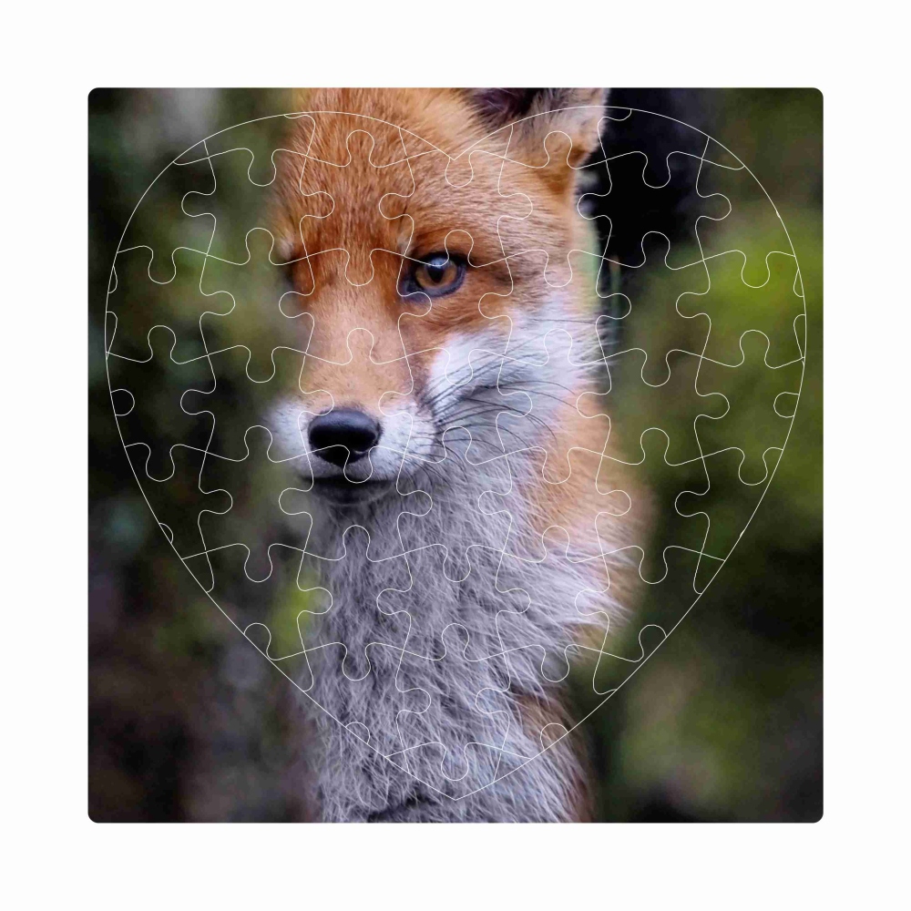 Puzzle 19x18cm v tvare srdca (76 dielikov) s obrázkom - líška