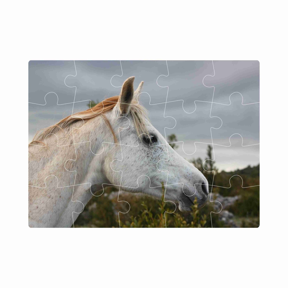 Puzzle 20x15cm (20 dielikov) s obrázkom - biely kôň