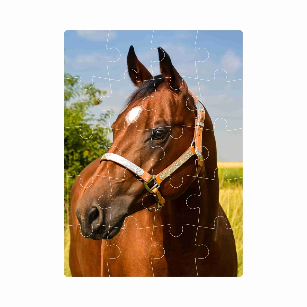Puzzle 20x15cm (20 dielikov) s obrázkom - hnedý kôň