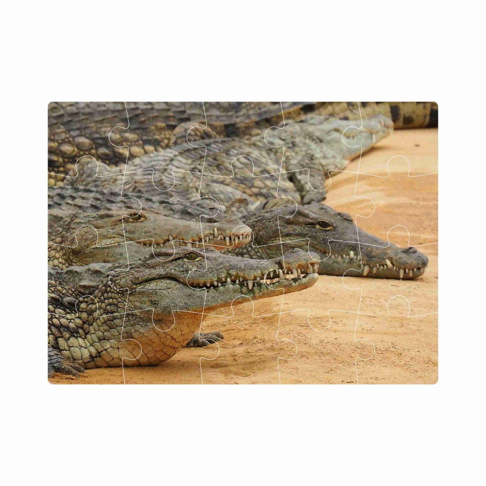 Puzzle 20x15cm (20 dielikov) s obrázkom - krokodílí breh