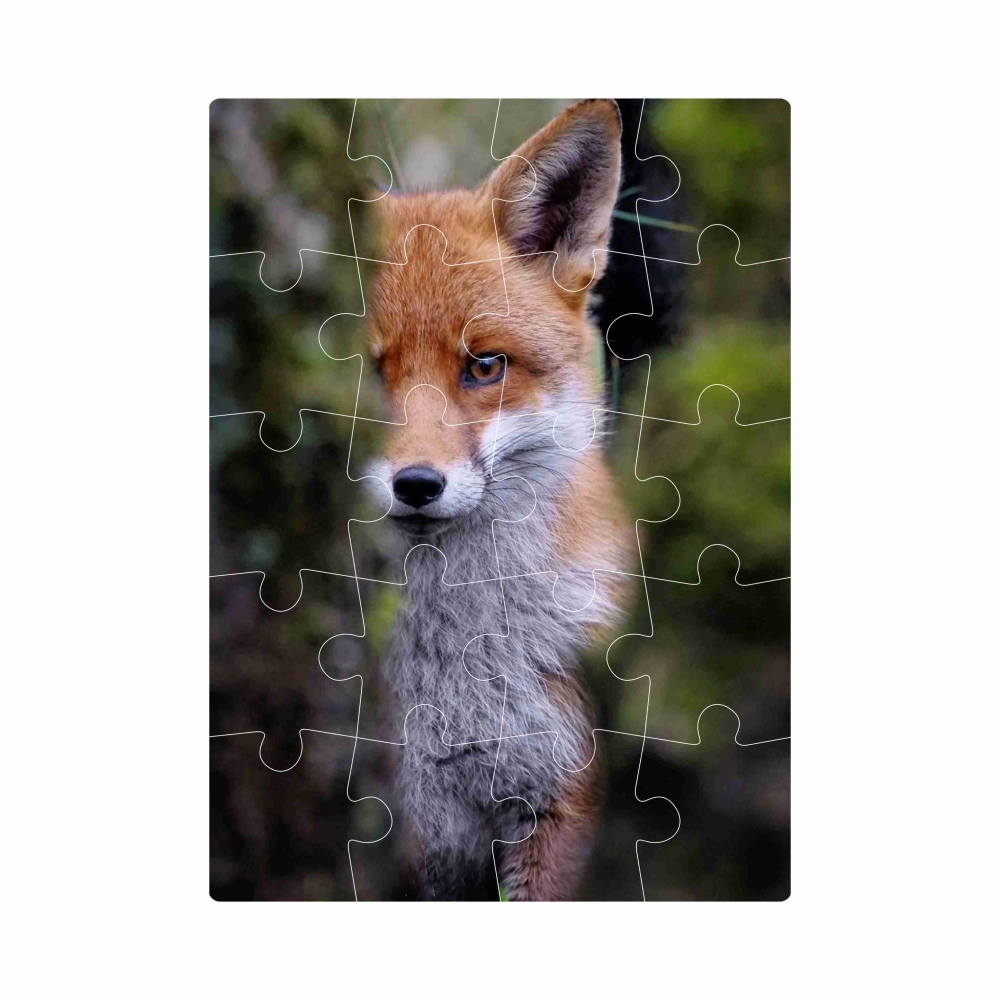Puzzle 20x15cm (20 dielikov) s obrázkom - líška