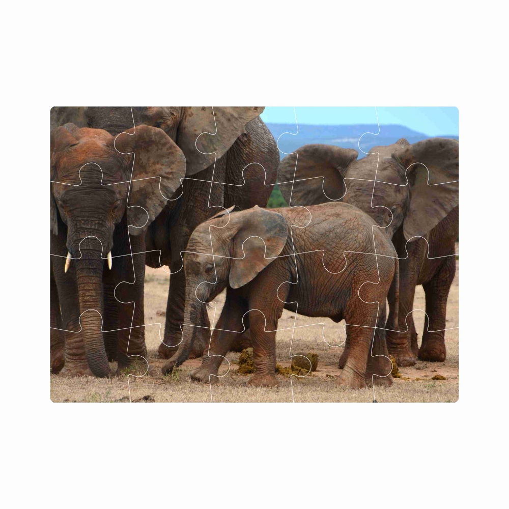 Puzzle 20x15cm (20 dielikov) s obrázkom - slonia rodina