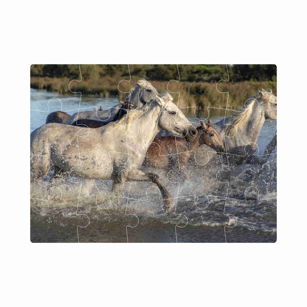 Puzzle 20x15cm (20 dielikov) s obrázkom - stádo koní