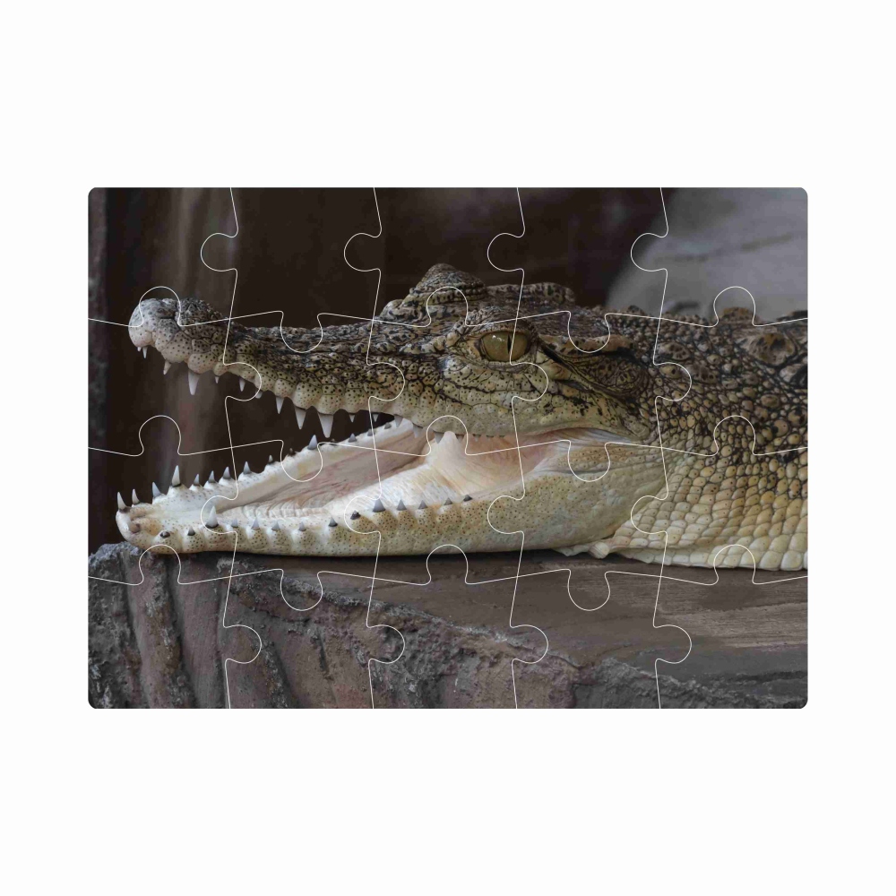 Puzzle 20x15cm (20 dielikov) s obrázkom - usmievavý krokodíl