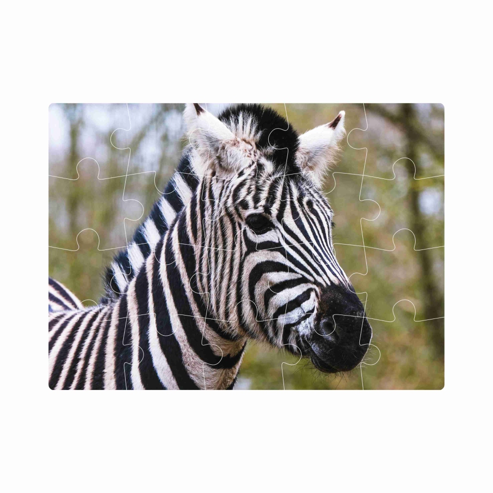 Puzzle 20x15cm (20 dielikov) s obrázkom - zebra