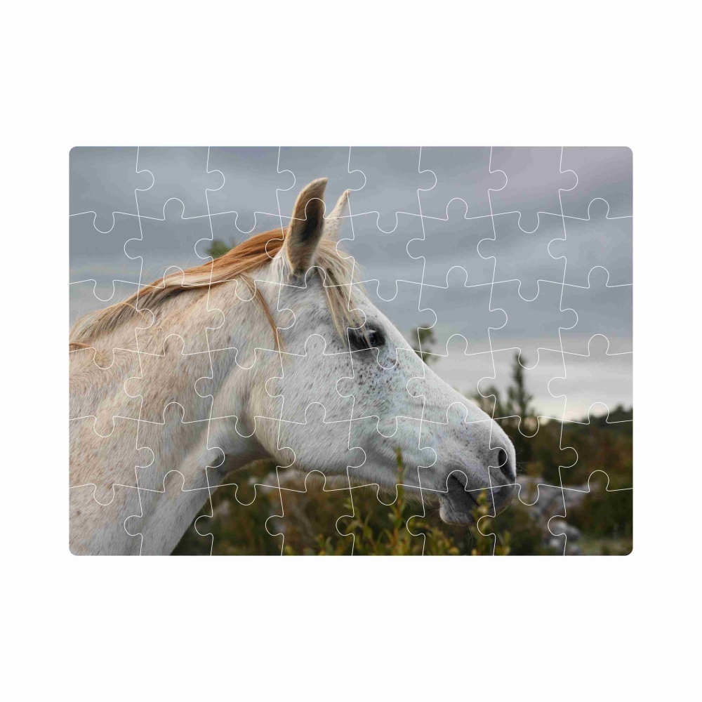 Puzzle 20x15cm (40 dielikov) s obrázkom - biely kôň