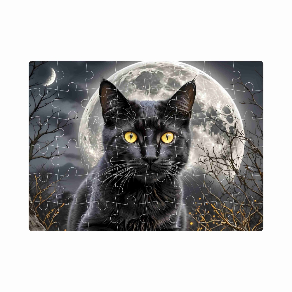 Puzzle 20x15cm (40 dielikov) s obrázkom - čierna mačka
