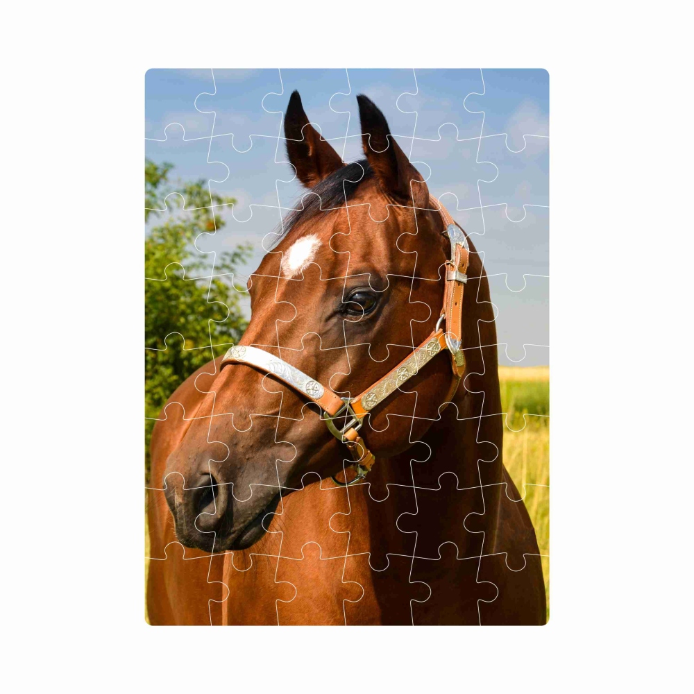 Puzzle 20x15cm (40 dielikov) s obrázkom - hnedý kôň