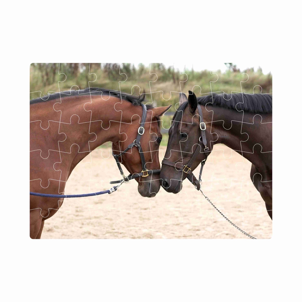 Puzzle 20x15cm (40 dielikov) s obrázkom - konský pozdrav