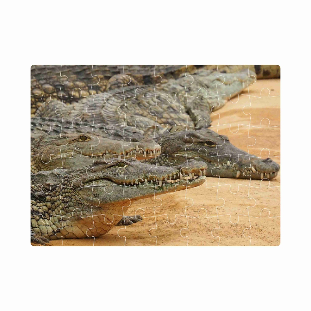 Puzzle 20x15cm (40 dielikov) s obrázkom - krokodílí breh