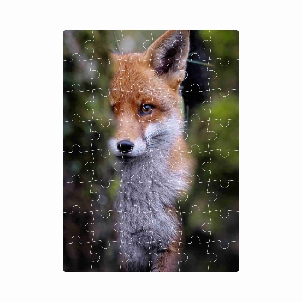 Puzzle 20x15cm (40 dielikov) s obrázkom - líška