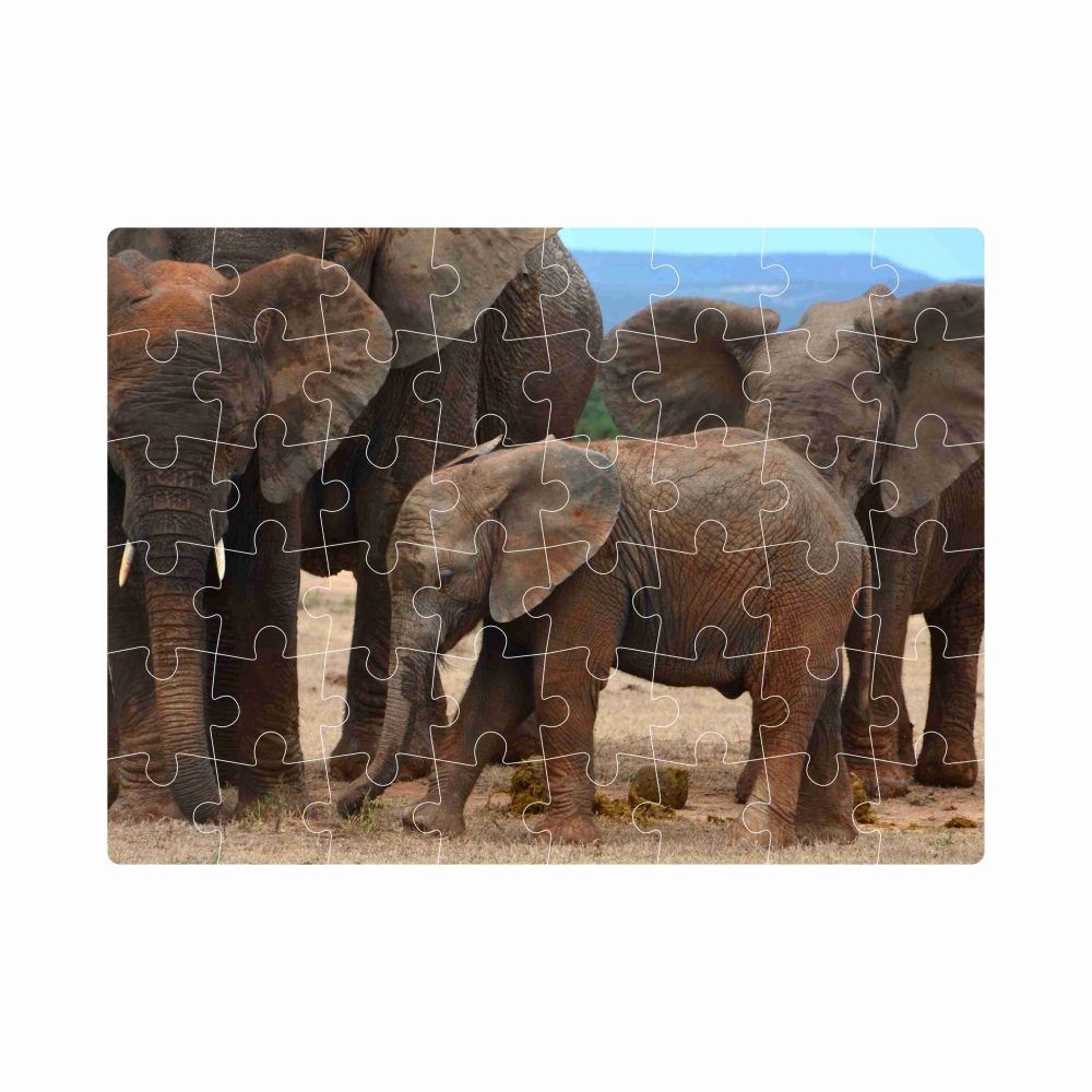 Puzzle 20x15cm (40 dielikov) s obrázkom - slonia rodina