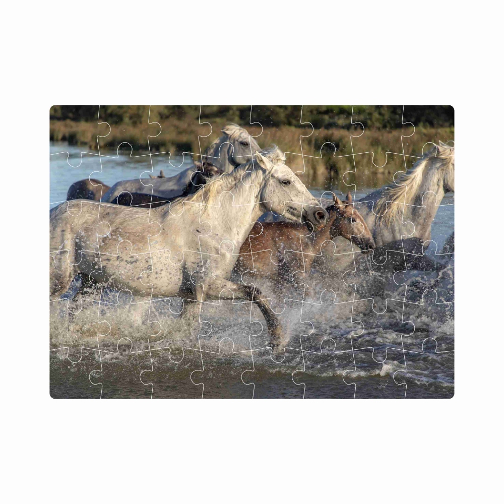 Puzzle 20x15cm (40 dielikov) s obrázkom - stádo koní