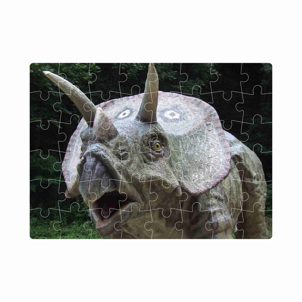 Puzzle 20x15cm (40 dielikov) s obrázkom - triceratops