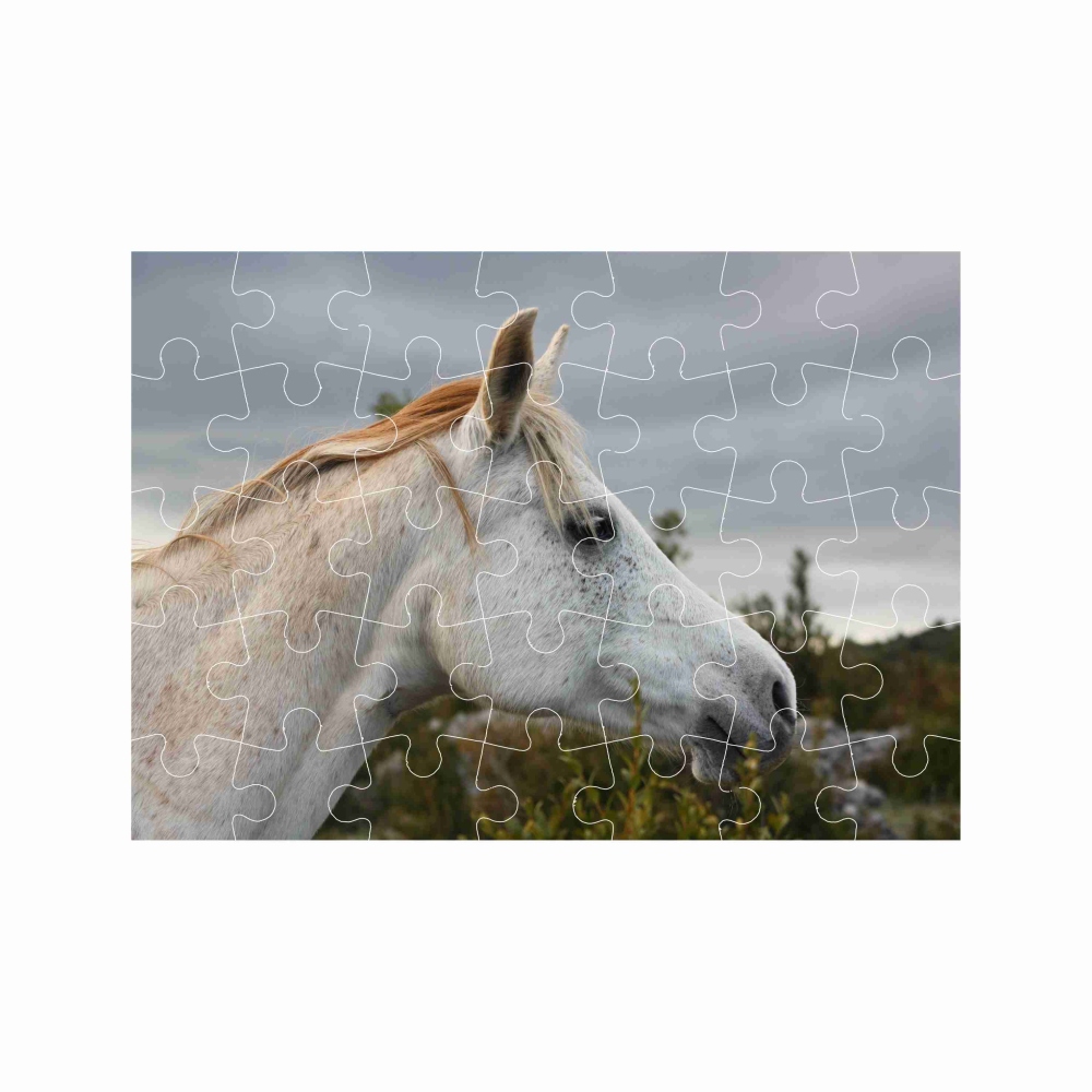 Puzzle 27x19,5cm (35 dielikov) s obrázkom - biely kôň