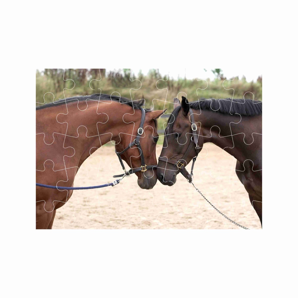 Puzzle 27x19,5cm (35 dielikov) s obrázkom - konský pozdrav