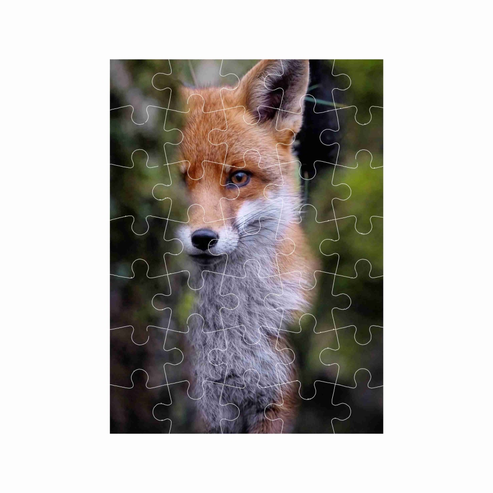 Puzzle 27x19,5cm (35 dielikov) s obrázkom - líška