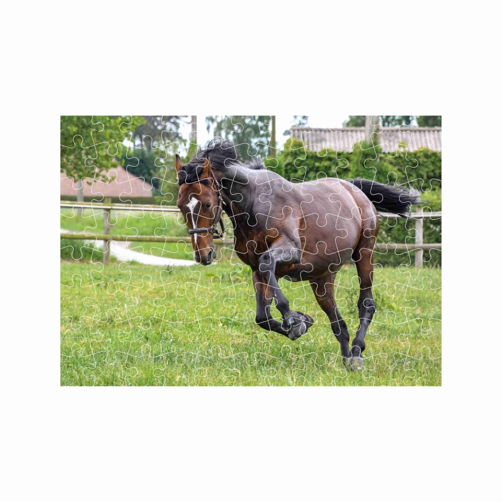 Puzzle 27x19,5cm (88 dielikov) s obrázkom - bežiaci kôň